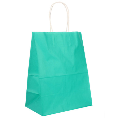 Пакет подарочный с кручеными ручками L 24x14x30см, 2 цвета: розовый/зеленый в асс