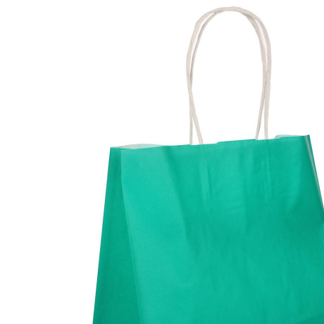 Пакет подарочный с кручеными ручками L 24x14x30см, 2 цвета: розовый/зеленый в асс