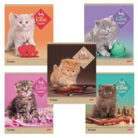 Тетрадь 48 л., HATBER, линия, обл. мелов.  картон, &quot;Котята&quot;, 48Т5В2, T242407