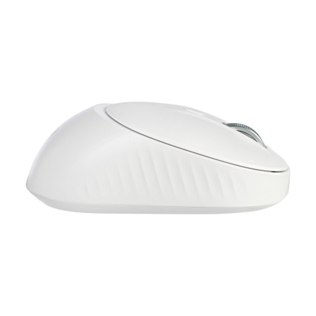 BY Компьютерная мышь беспроводная,1000-1800DPI,4D, 2.4GHz + BT,до 3х устройств,1xAA,тихий клик,белая