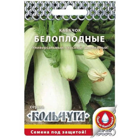 Кабачок Белоплодный "Кольчуга" НК