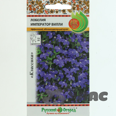 Лобелия Император Вилли НК Ц