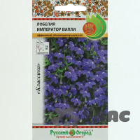 Лобелия Император Вилли НК Ц