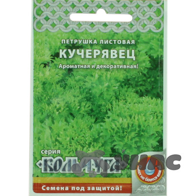Петрушка листовая "Кольчуга"  Кучерявец НК Ц