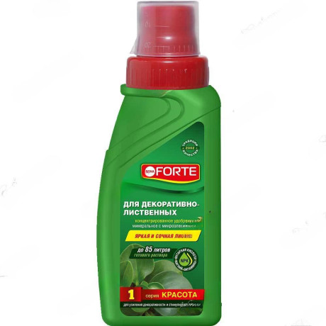 Бона Форте 285мл КРАСОТА Для декоративно-лиственных растений (BF21010261) х20
