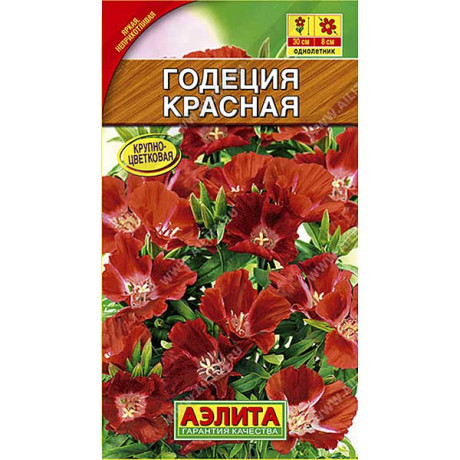 Годеция красная Аэлита Ц