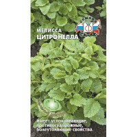 Мелисса Цитронелла Седек Ц