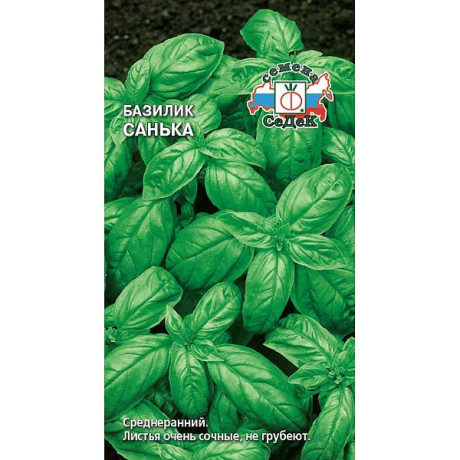 Базилик Санька Седек Ц