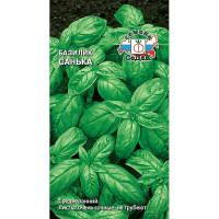 Базилик Санька Седек Ц