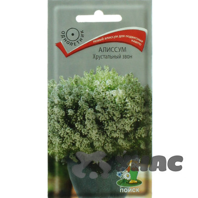 Алиссум Хрустальный звон Поиск Ц