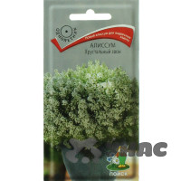 Алиссум Хрустальный звон Поиск Ц