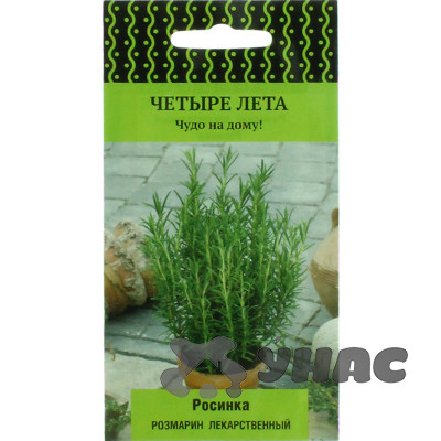 Розмарин Росинка Поиск Ц