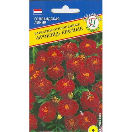 Бархатцы Брокейд Красные отклоненные Престиж Ц