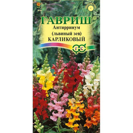 Львиный зев карликовый смесь Гавриш Ц