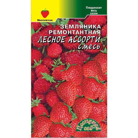 Земляника Лесное Ассорти Цвет сад Ц