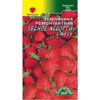 Земляника Лесное Ассорти Цвет сад Ц