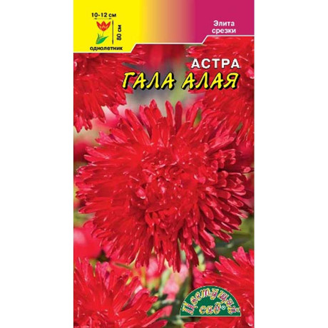 Астра Гала Алая густомахровая ЦветСад Ц х10