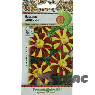 Бархатцы Арлекин НК Ц
