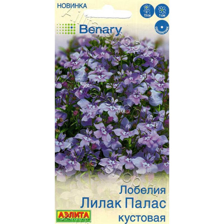 Лобелия Лилак палас кустовая Аэлита Цх10