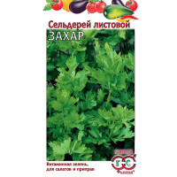 Сельдерей листовой Захар Гавриш Ц