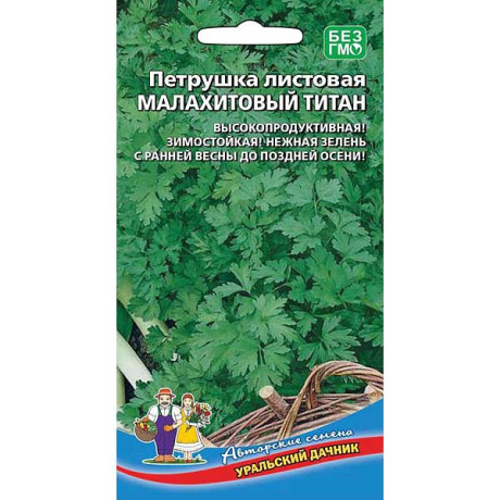 Петрушка листовая Малахитовый Титан Марс Ц