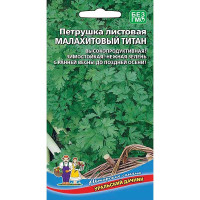 Петрушка листовая Малахитовый Титан Марс Ц