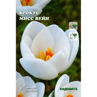 Крокус Мисс Вейн 5/+ 10 шт Садовита