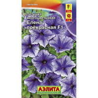 Петуния Елена Прекрасная Аэлита Ц