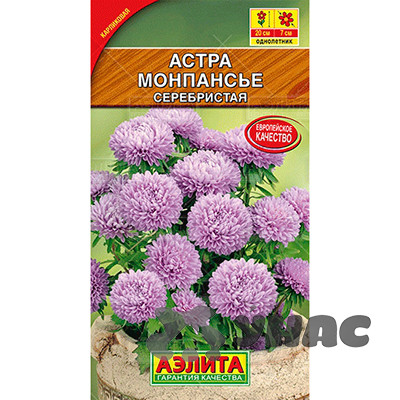 Астра Монпансье серебристая Аэлита Ц