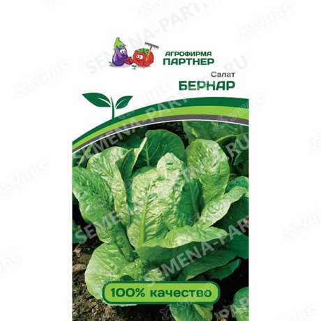 Салат Бернар Партнер Ц