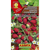 Земляника Барон Солемахер ремонт. Аэлита Ц