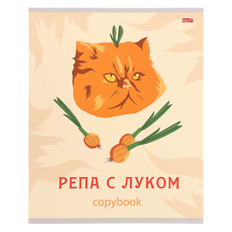 Тетрадь 48л. в клетку, офсет, обл. мел.картон, скрепка, ВД-лак, микс