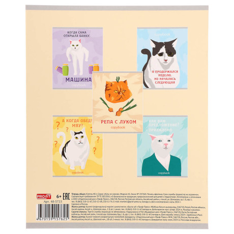 Тетрадь 48л. в клетку, офсет, обл. мел.картон, скрепка, ВД-лак, микс