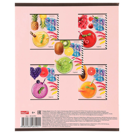 Тетрадь 48л. в клетку, офсет, обл. мел.картон, скрепка, ВД-лак, микс