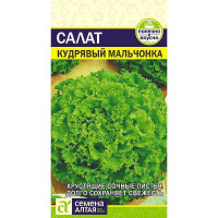 Салат Кудрявый Мальчонка СемАлт Ц