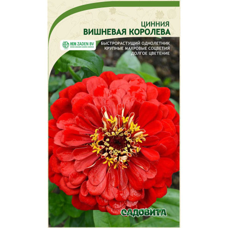 Циния Вишневая королева 0,3гр Садовита Ц