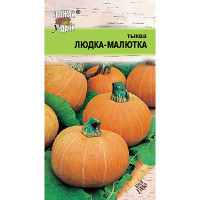 Тыква Людка-Малютка Урожай у дачи Ц