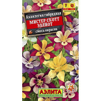 Аквилегия Мистер Скотт Эллиот смесь Аэлита Ц