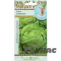 Салат Спринтер кочанный (Северные овощи) НК Ц