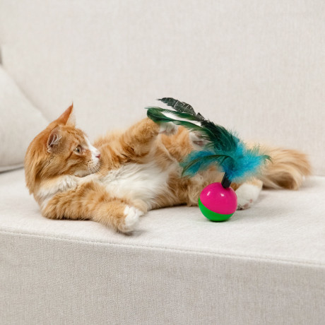 VETTA Игрушка для домашних животных, пластмасса, перья, 5,5х8 см