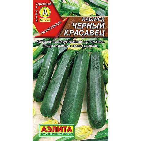 Кабачок Черный красавец цукини Аэлита Ц x10