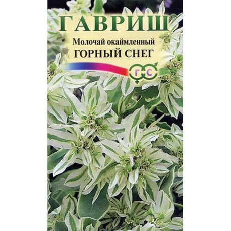 Молочай окаймленный Горный снег Гавриш Цх10