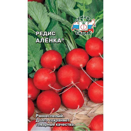 Редис Аленка Седек Ц