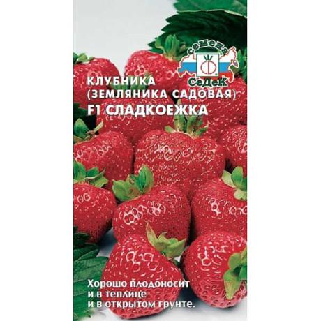 Земляника Сладкоежка Седек Ц