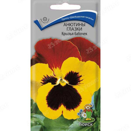 Анютины глазки Крылья бабочек Поиск Ц