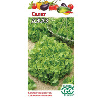 Салат Джаз листовой Гавриш Ц