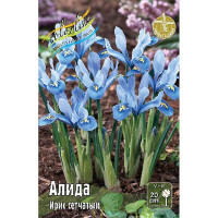 Ирис Сетч. Алида 5/6 8 шт