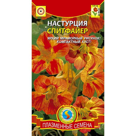 Настурция Спитфайер Плазма Ц