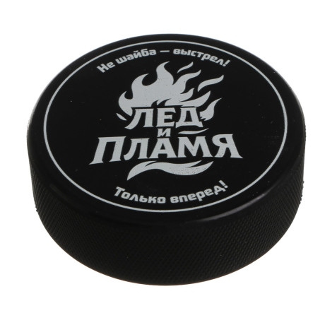 BY SPORT Шайба хоккейная с принтом, взрослая, 7.5х2.5см, резина