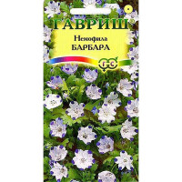 Немофила Барбара пятнистая Гавриш Ц